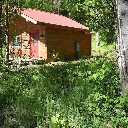 Birch Cabin タルキートナ エクステリア 写真