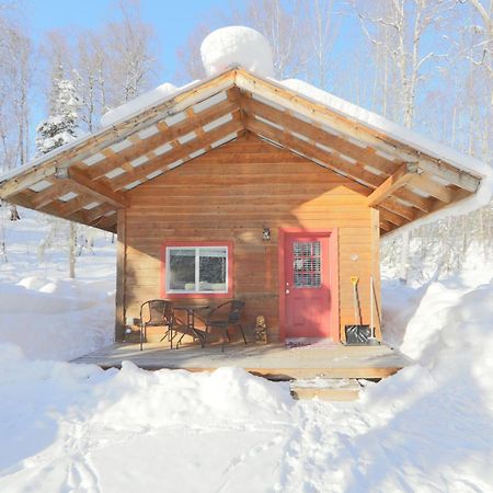 Birch Cabin タルキートナ エクステリア 写真