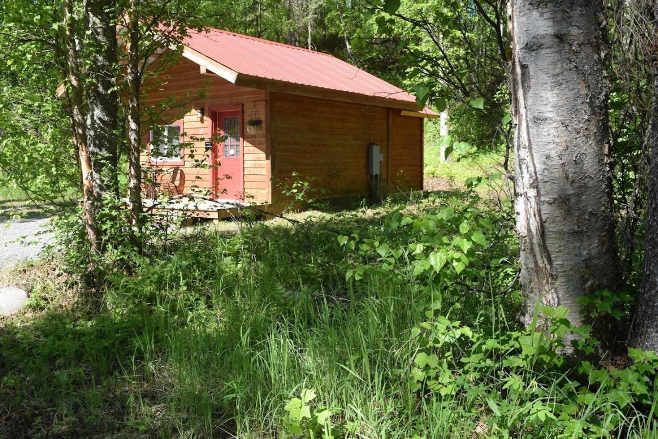 Birch Cabin タルキートナ エクステリア 写真