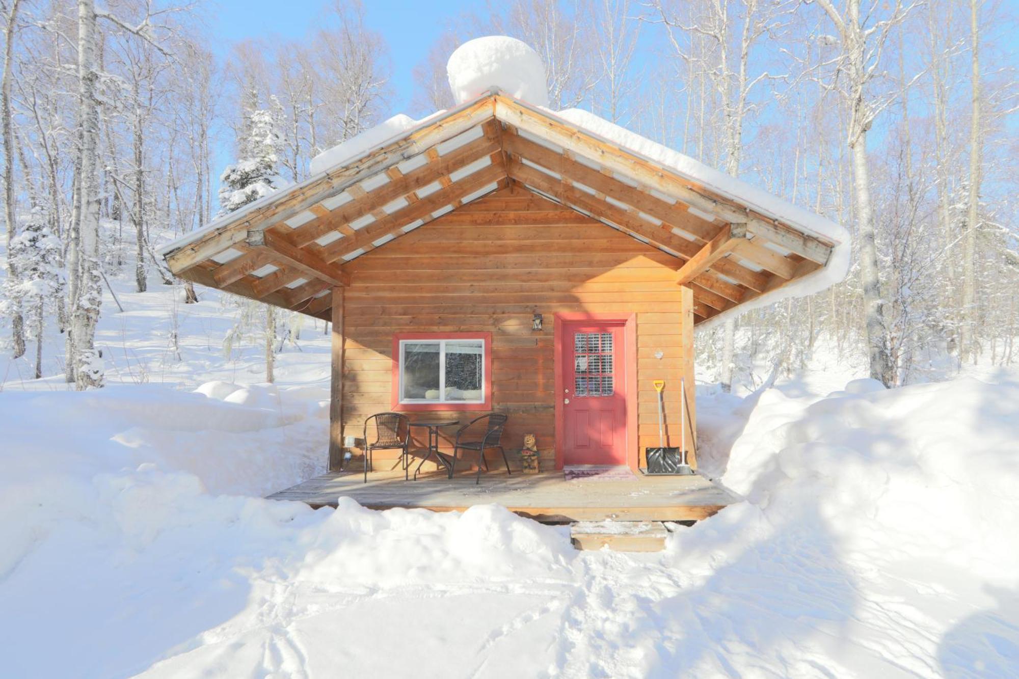 Birch Cabin タルキートナ エクステリア 写真